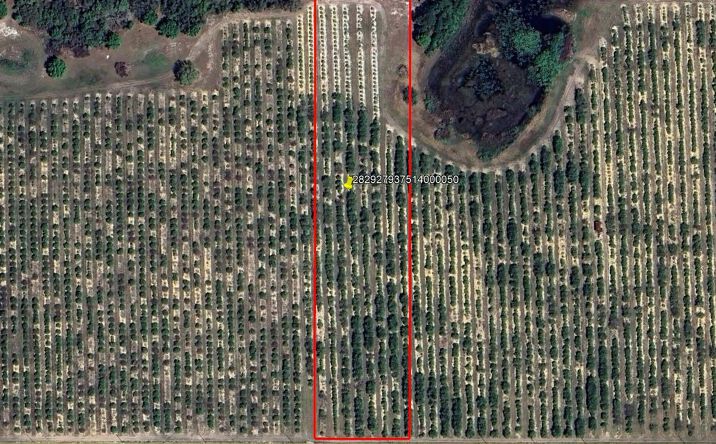 Pictures of Land property located at Lot 5 Mammoth Grove Rd, Lake Wales, FL 33898 for sales - image #1