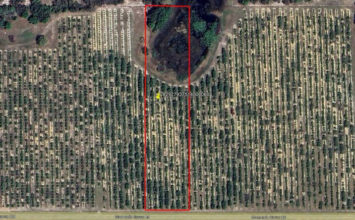 Pictures of Land property located at Lot 6 Mammoth Grove Rd, Lake Wales, FL 33898 for sales - image #1