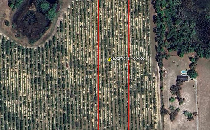Pictures of Land property located at lot 9 Mammoth Grove Rd, Lake Wales, FL 33898 for sales - image #1