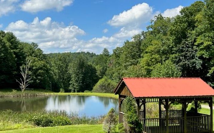 Pictures of Land, Multifamily property located at TBD Cove Ln, Woodlawn, VA 24381 for sales - image #1