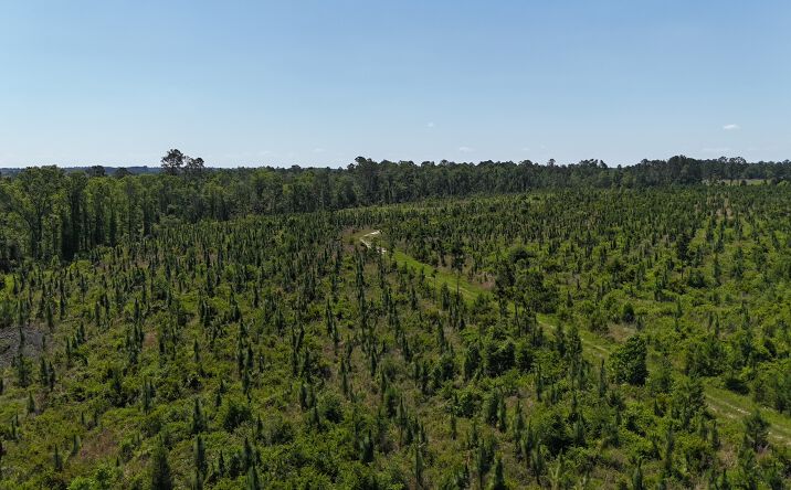 Pictures of Land property located at Deer Run Rd, Vidalia, GA 30474 for sales - image #1