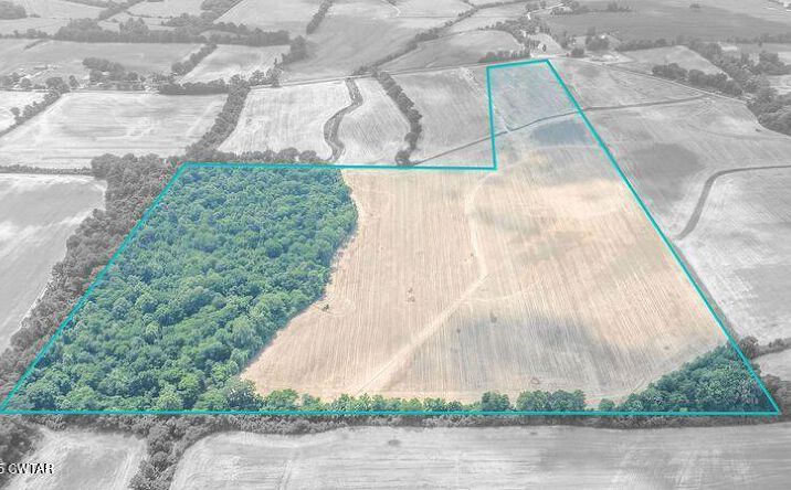 Pictures of Land property located at 0 Forked Deer Road, Brownsville, TN 38012 for sales - image #1
