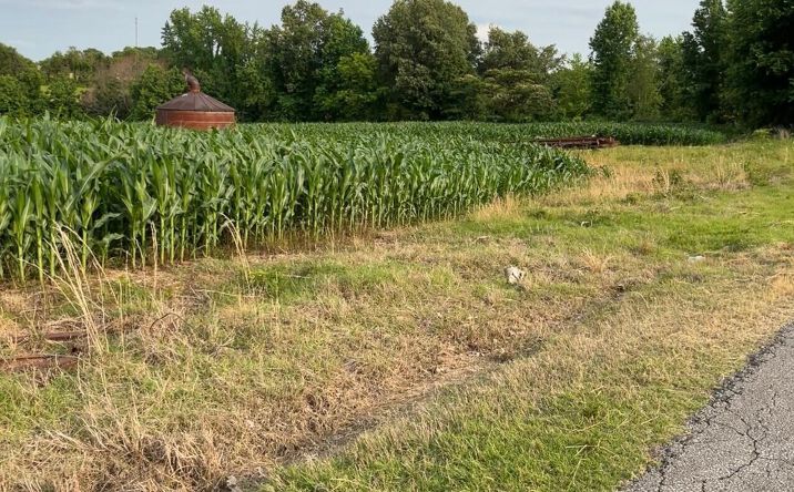 Pictures of Land property located at 314 Palestine Road, Newbern, TN 38059 for sales - image #1
