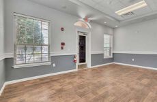 23800882