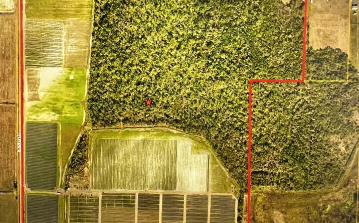 Pictures of Land property located at 16423 Sweat Loop Rd, Lithia, FL 33547 for sales - image #1
