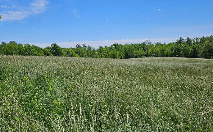 Pictures of Land property located at 0 True Rd, Hinton, WV 25951 for sales - image #1