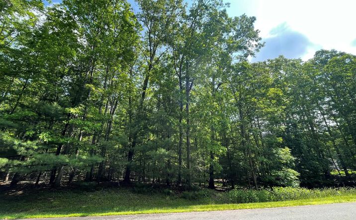 Pictures of Land property located at 0 Saddlebrooke Ln, Daniels, WV 25832 for sales - image #1