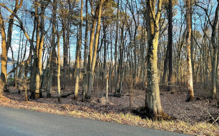 Pictures of Land property located at 35 Birch Street, Old Bridge, NJ 08857 for sales - image #1