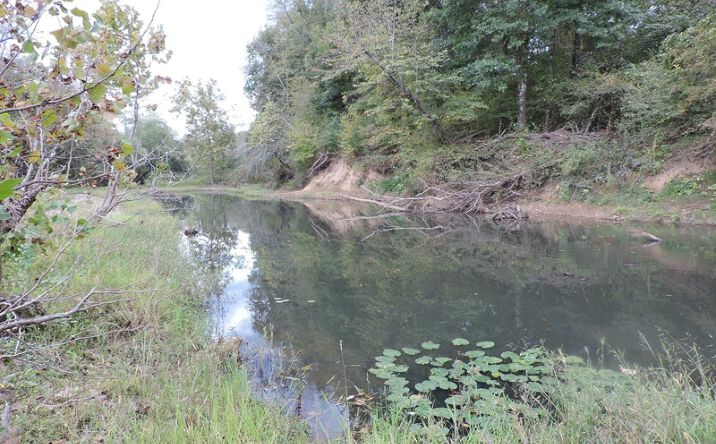 Pictures of Land property located at 28538 Little Texas Rd, Bluffton, AR 72827 for sales - image #1