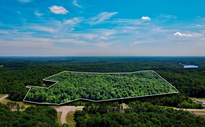 Pictures of Land property located at Highway 412 W, Beech Bluff, Lexington, TN 38351 for sales - image #1