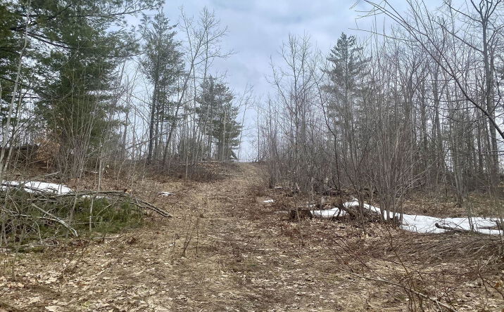 Pictures of Land property located at 7.6 Acres Trails End St, Gaylord, MI 49735 for sales - image #1