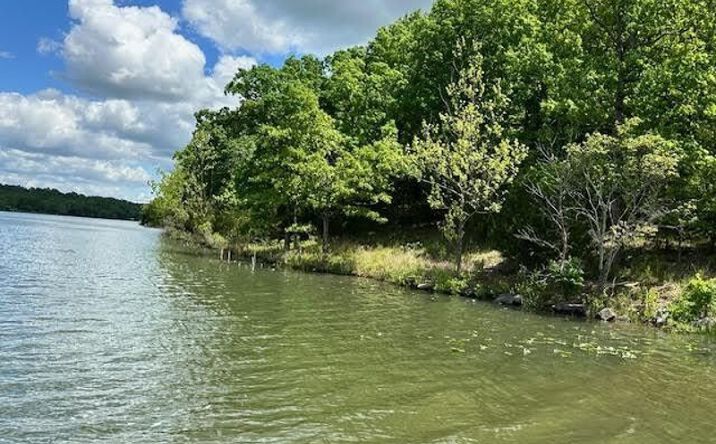 Pictures of Land property located at 1303 View Park Cir, Horseshoe Bend, AR 72512 for sales - image #1