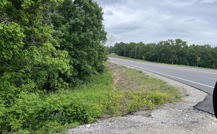 Pictures of Land property located at US-63, Mammoth Spring, AR 72554 for sales - image #1