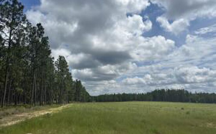 Pictures of Land property located at 00 /Lot 23 Snipes Pond Rd, Aiken, SC 29805 for sales - image #1