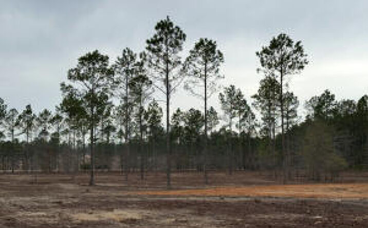 Pictures of Land property located at 00 Ranchero St, Aiken, SC 29805 for sales - image #1
