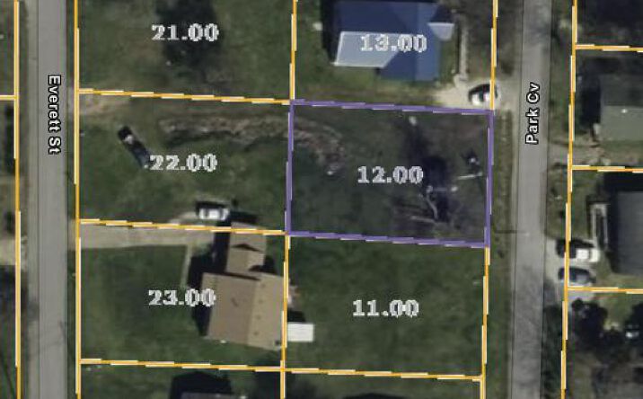 Pictures of Land property located at 0 Park St., Mckenzie, TN 38201 for sales - image #1