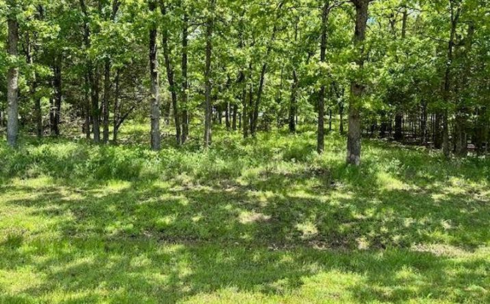 Pictures of Land property located at 323 W Green Valley Dr, Horseshoe Bend, AR 72512 for sales - image #1