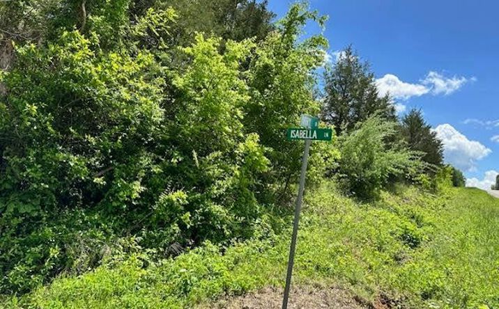 Pictures of Land property located at 101 Isabella Ln, Horseshoe Bend, AR 72512 for sales - image #1
