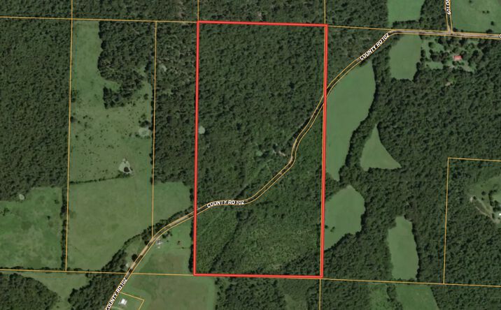 Pictures of Land property located at 1529 Co Rd 102, Alton, MO 65606 for sales - image #1