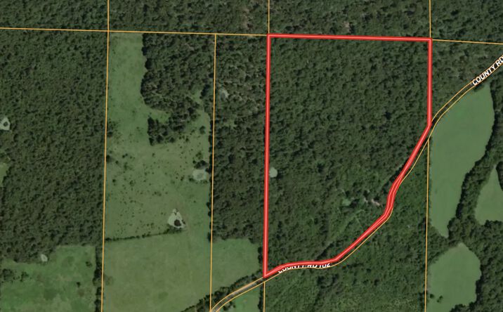 Pictures of Land property located at 1529 County Road 102, Alton, MO 65606 for sales - image #1
