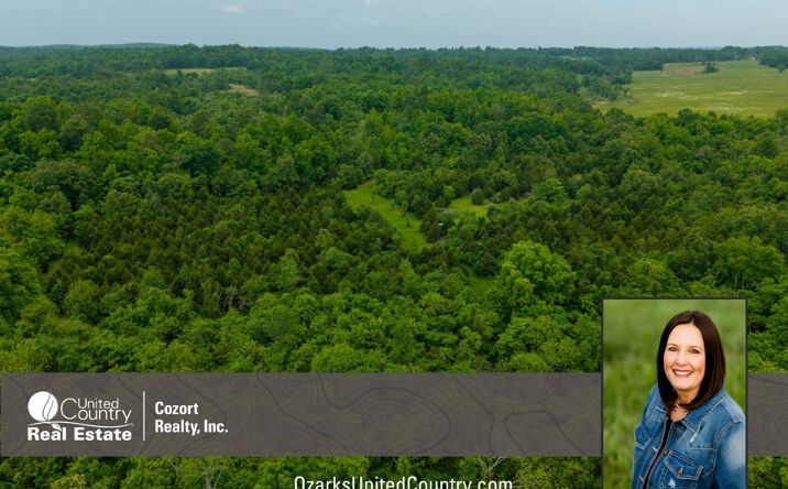 Pictures of Land property located at 000 County Road 102, Alton, MO 65606 for sales - image #1