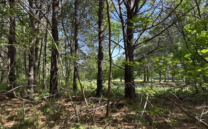 Pictures of Land property located at 27950 Woodland Road, Seaford, DE 19973 for sales - image #1