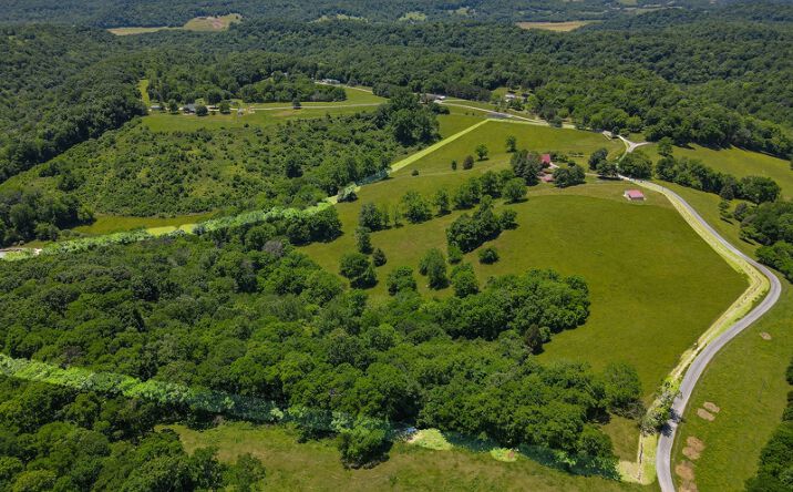 Pictures of Land property located at 877 Mt Olive Cemetery Rd, Lynnville, TN 38472 for sales - image #1