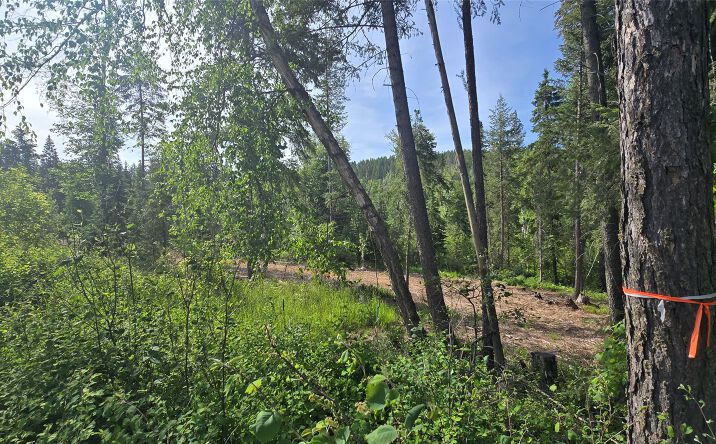 Pictures of Land property located at 277 Seville Lane, Coram, MT 59913 for sales - image #1