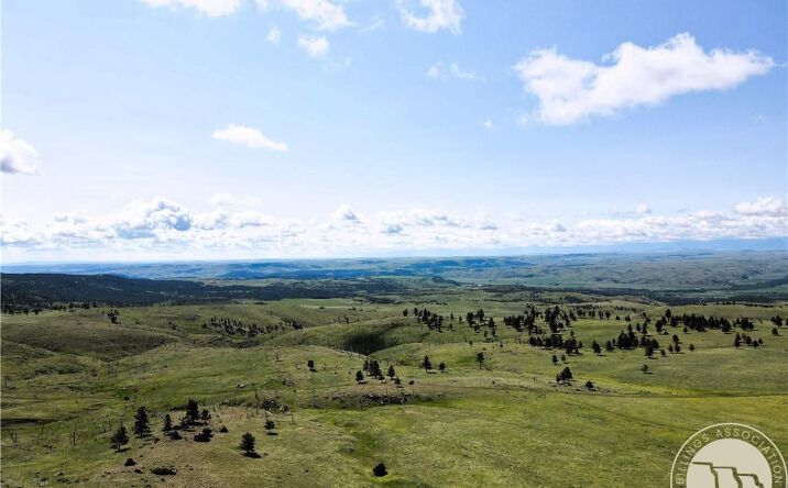 Pictures of Land property located at tbd Deadmans Canyon Rd, Reed Point, MT 59601 for sales - image #1