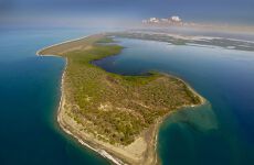 23833976