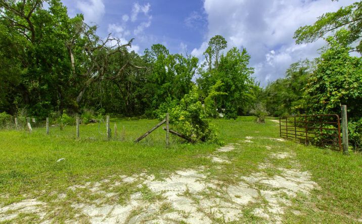 Pictures of Land property located at 262 NE 539th St, Old Town, FL 32680 for sales - image #1