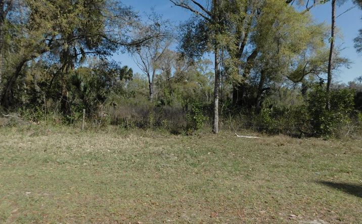 Pictures of Land property located at SW 14th Ave, Chiefland, FL 32626 for sales - image #1
