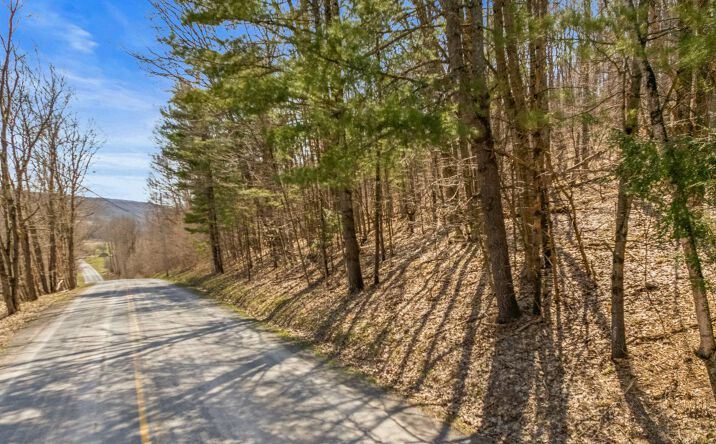 Pictures of Land property located at L9.114 Lutheranville Rd, East Worcester, NY 12064 for sales - image #1