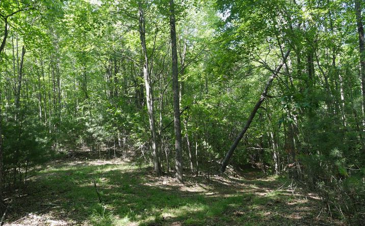 Pictures of Land, Multifamily property located at TBD Bedsaul Road, Galax, VA 24333 for sales - image #1