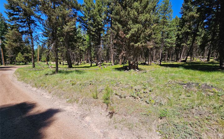 Pictures of Land property located at 264 Evergreen Drive, Seeley Lake, MT 59868 for sales - image #1