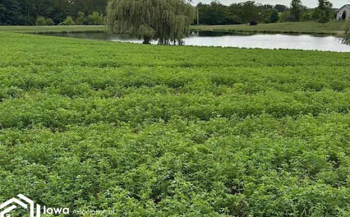 Pictures of Land property located at Gear Avenue, Fairfield, IA 52556 for sales - image #1