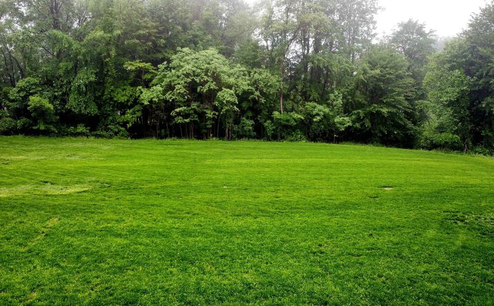 Pictures of Land property located at 0 Crossbridge Court, Lexington, OH 44904 for sales - image #1