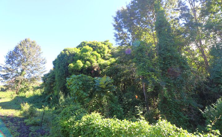Pictures of Land property located at captain cook rd, Captain Cook, HI 96704 for sales - image #1