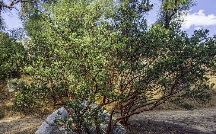 Pictures of Land property located at Poppet Flats and Cryer Rd, Banning, CA 92220 for sales - image #1