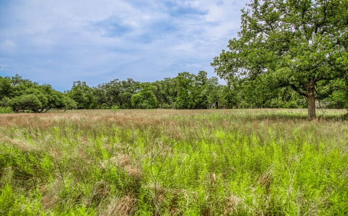 Pictures of Land property located at TBD CR 125, Hallettsville, TX 77954 for sales - image #1