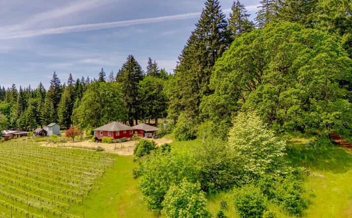 Pictures of Land property located at 391 Newell Rd, Underwood, WA 98651 for sales - image #1