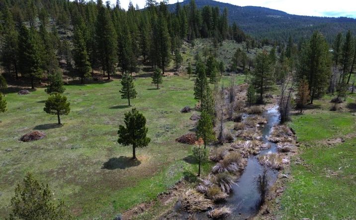 Pictures of Land property located at 000 Roney Flat Rd, Adin, CA 96006 for sales - image #1
