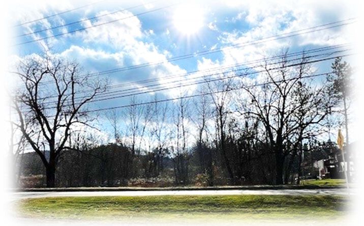 Pictures of Land property located at 3360 Vestal Rd, Vestal, NY 13850 for sales - image #1
