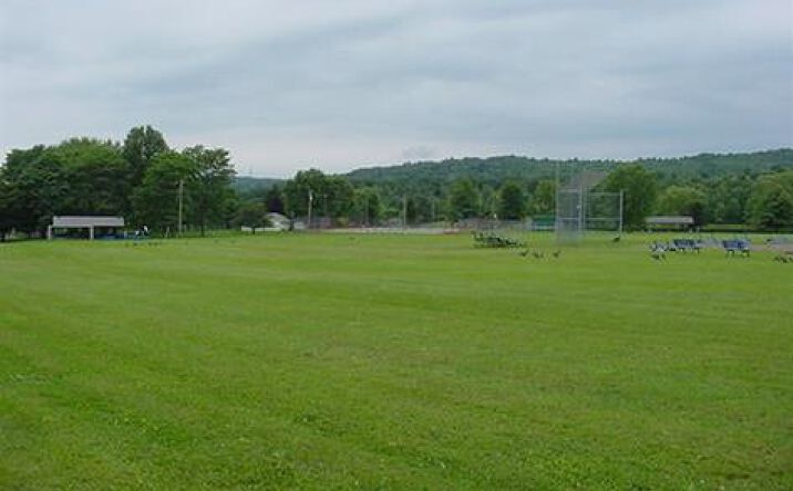 Pictures of Land, Multifamily property located at Barnes Creek Rd, Owego, NY 13827 for sales - image #1
