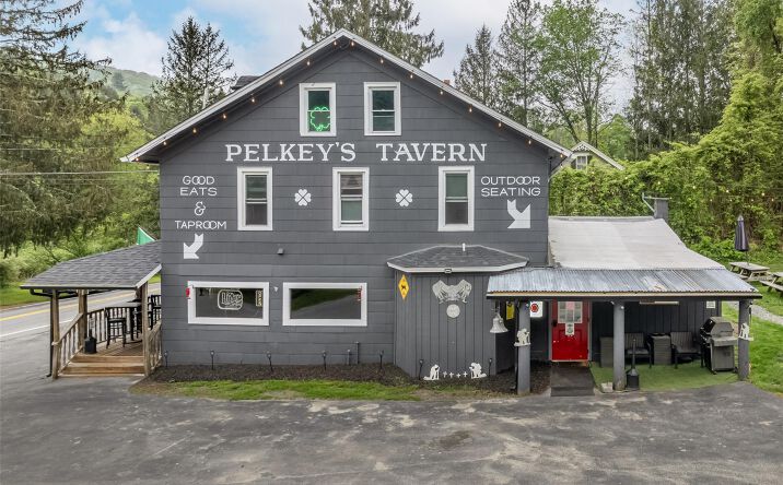 Pictures of Business for Sale, Retail property located at 553 County Road 94, Fremont, NY 12741 for sales - image #1