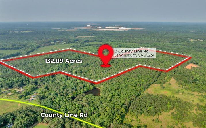 Pictures of Land property located at 0 County Line Rd, Jenkinsburg, GA 30234 for sales - image #1