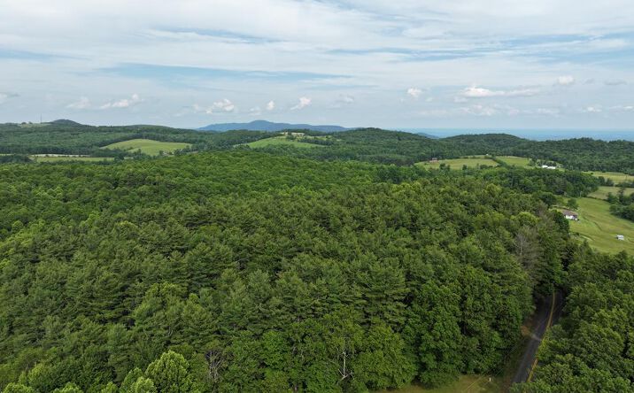 Pictures of Land, Multifamily property located at 0 Red Rough Rd, Meadows of Dan, VA 24120 for sales - image #1