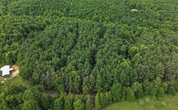 Pictures of Land, Multifamily property located at 0 Red Rough Road, Meadows of Dan, VA 24120 for sales - image #1