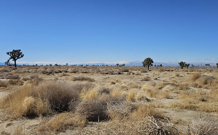 Pictures of Land property located at 90th St E, Lancaster, CA 93535 for sales - image #1