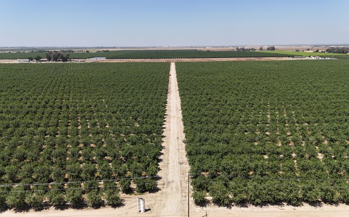 Pictures of Land property located at South Side of Ave. 84, .5 miles east of Rd 140, Pixley, CA 93256 for sales - image #1